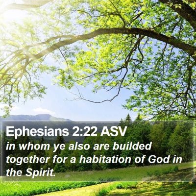 Ephesians 2:22 ASV Bible Verse Image