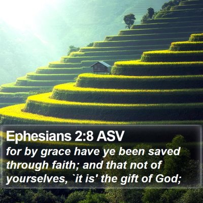 Ephesians 2:8 ASV Bible Verse Image