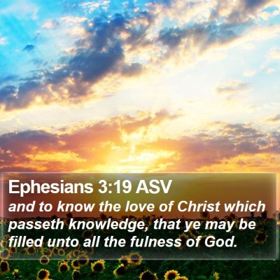 Ephesians 3:19 ASV Bible Verse Image