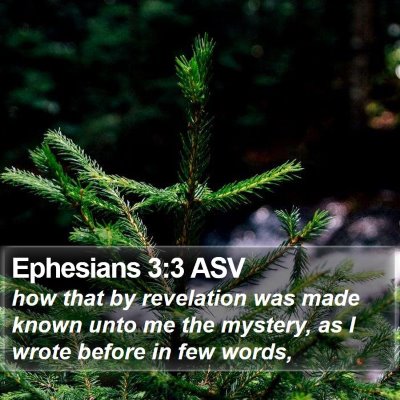 Ephesians 3:3 ASV Bible Verse Image