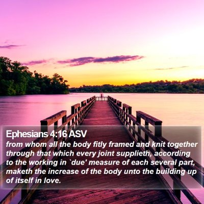 Ephesians 4:16 ASV Bible Verse Image