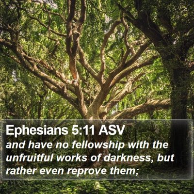 Ephesians 5:11 ASV Bible Verse Image