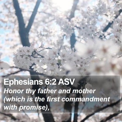 Ephesians 6:2 ASV Bible Verse Image