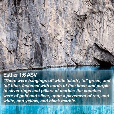 Esther 1:6 ASV Bible Verse Image