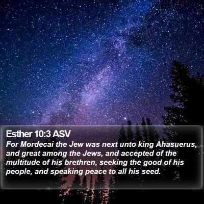Esther 10:3 ASV Bible Verse Image