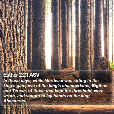 Esther 2:21 ASV Bible Verse Image