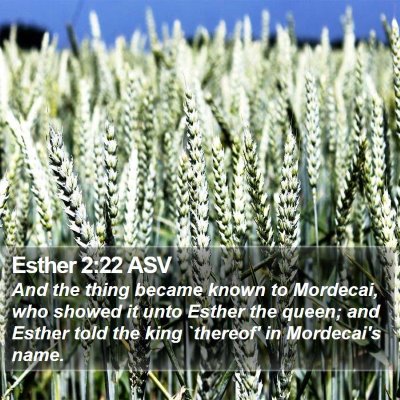 Esther 2:22 ASV Bible Verse Image