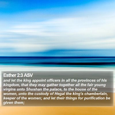 Esther 2:3 ASV Bible Verse Image