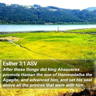 Esther 3:1 ASV Bible Verse Image
