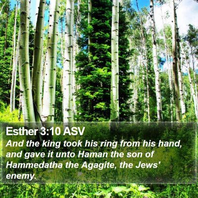 Esther 3:10 ASV Bible Verse Image