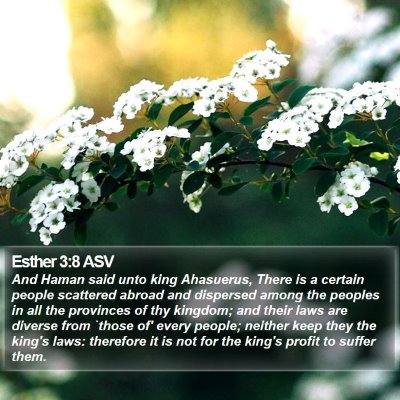 Esther 3:8 ASV Bible Verse Image