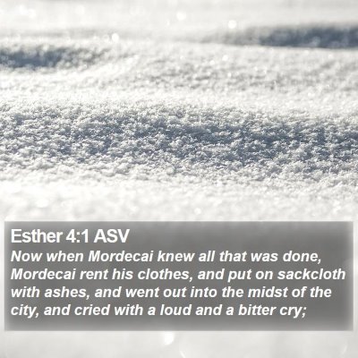 Esther 4:1 ASV Bible Verse Image
