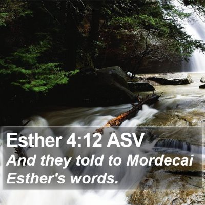 Esther 4:12 ASV Bible Verse Image