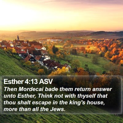 Esther 4:13 ASV Bible Verse Image