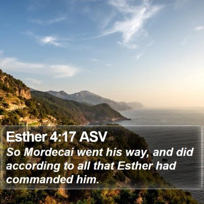 Esther 4:17 ASV Bible Verse Image