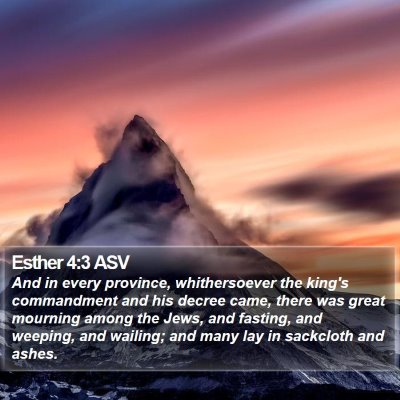 Esther 4:3 ASV Bible Verse Image
