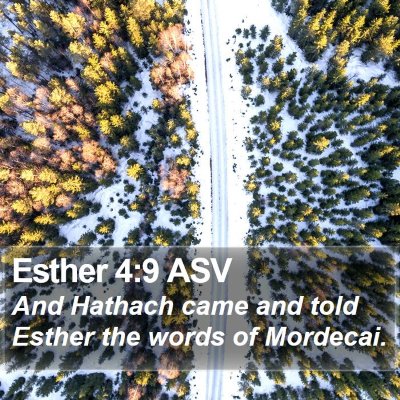 Esther 4:9 ASV Bible Verse Image