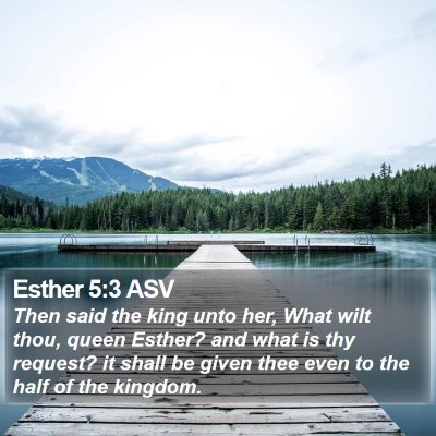 Esther 5:3 ASV Bible Verse Image