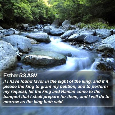 Esther 5:8 ASV Bible Verse Image