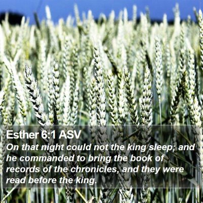 Esther 6:1 ASV Bible Verse Image