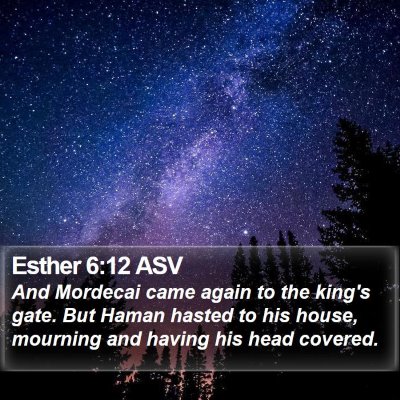 Esther 6:12 ASV Bible Verse Image