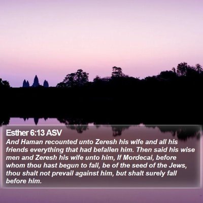 Esther 6:13 ASV Bible Verse Image