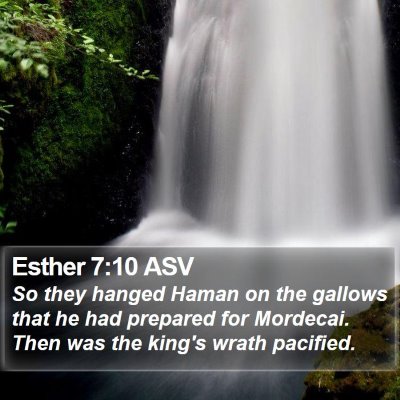 Esther 7:10 ASV Bible Verse Image