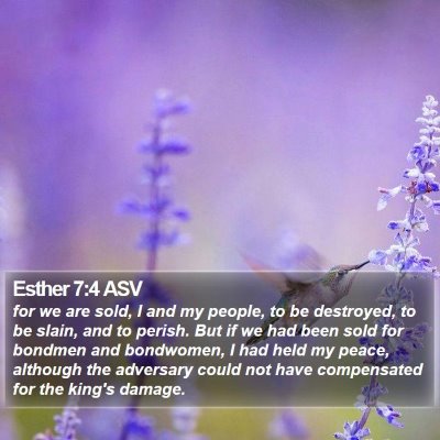 Esther 7:4 ASV Bible Verse Image