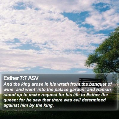 Esther 7:7 ASV Bible Verse Image