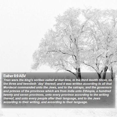 Esther 8:9 ASV Bible Verse Image