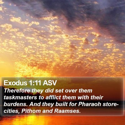 Exodus 1:11 ASV Bible Verse Image