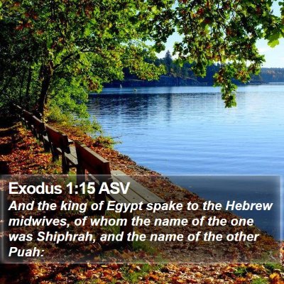 Exodus 1:15 ASV Bible Verse Image