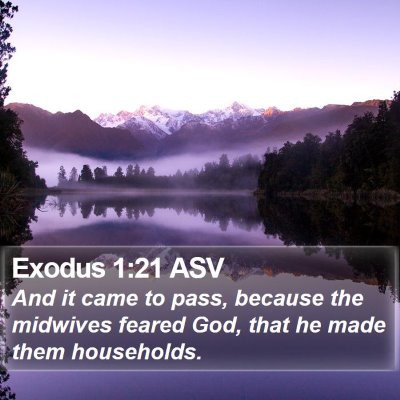 Exodus 1:21 ASV Bible Verse Image