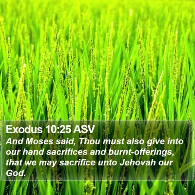 Exodus 10:25 ASV Bible Verse Image