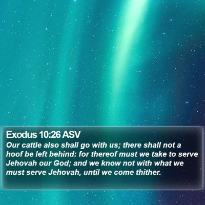 Exodus 10:26 ASV Bible Verse Image
