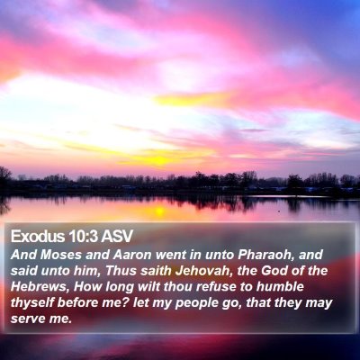Exodus 10:3 ASV Bible Verse Image
