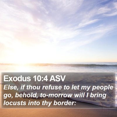 Exodus 10:4 ASV Bible Verse Image