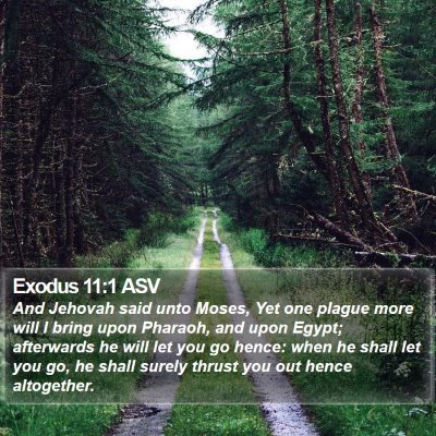 Exodus 11:1 ASV Bible Verse Image