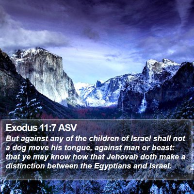 Exodus 11:7 ASV Bible Verse Image