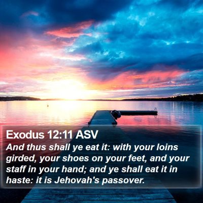 Exodus 12:11 ASV Bible Verse Image