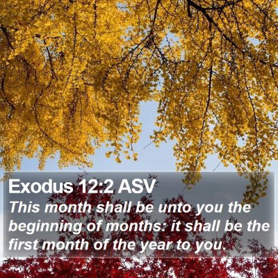 Exodus 12:2 ASV Bible Verse Image