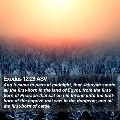 Exodus 12:29 ASV Bible Verse Image