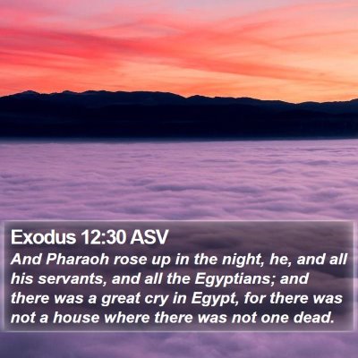 Exodus 12:30 ASV Bible Verse Image