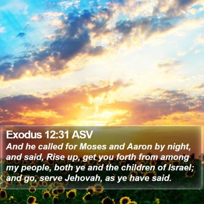 Exodus 12:31 ASV Bible Verse Image