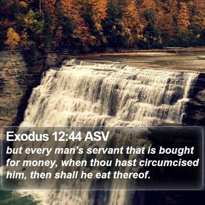 Exodus 12:44 ASV Bible Verse Image