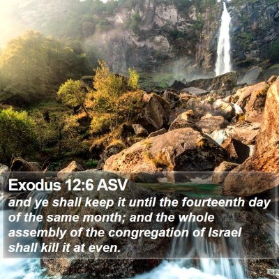 Exodus 12:6 ASV Bible Verse Image