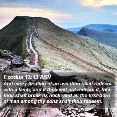 Exodus 13:13 ASV Bible Verse Image