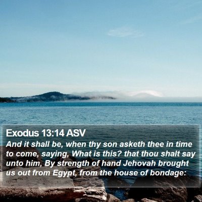 Exodus 13:14 ASV Bible Verse Image