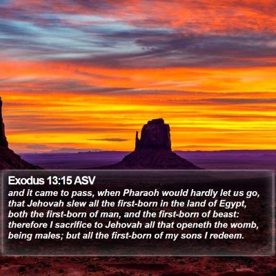 Exodus 13:15 ASV Bible Verse Image