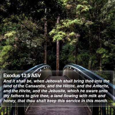 Exodus 13:5 ASV Bible Verse Image